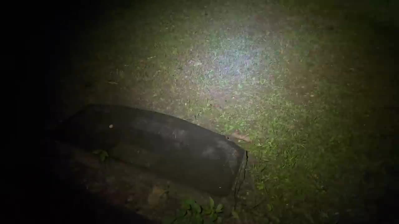 Midnight in America’s Most Haunted Cemetery | Bachelor's Grove Cemetery