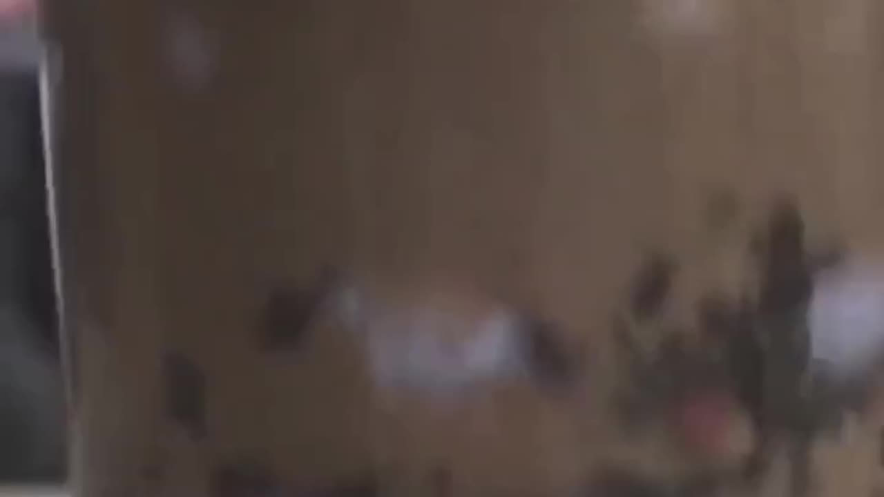 Anti-Loosh Video Number 210. LOOSH is real and bad. Explained below and watch the video