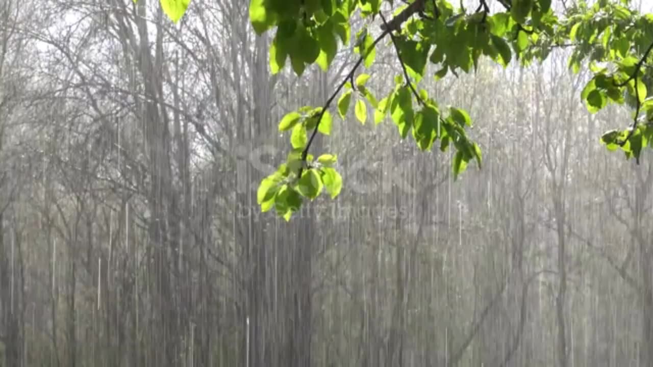 Sound Of Rain