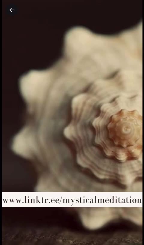 Guided By The Beam Of This Glorious Star