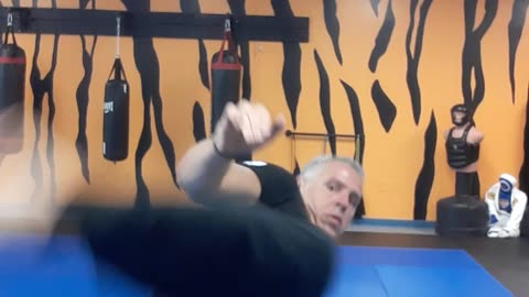 Kickboxing Techniques