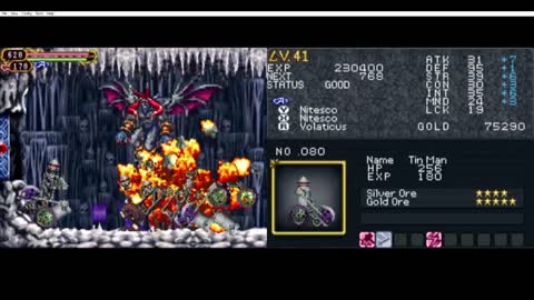 Castlevania - Order of Ecclesia 20 - Large Cavern