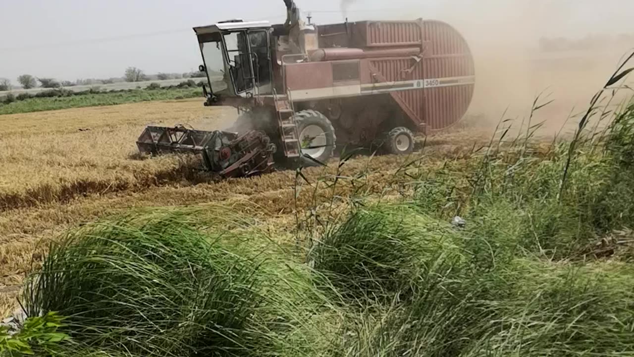 Wheat cutting machine