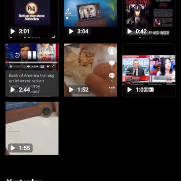 What the what what what