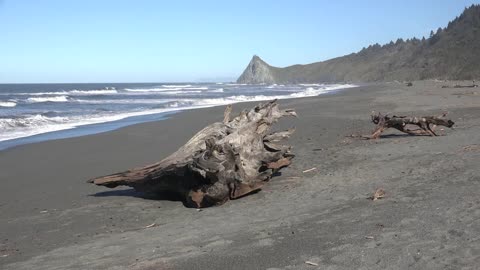 California Beach At Dry Lagoon With Tree Stump On Beach