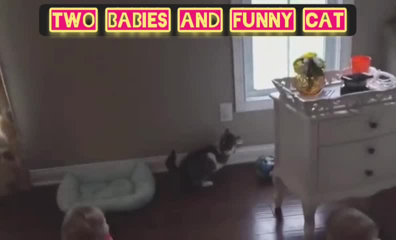 Two little baby and the cat