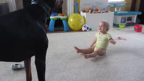dog and baby