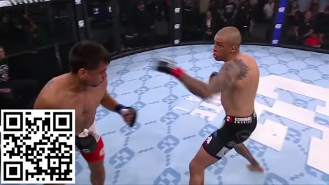 Top MMA knockouts!