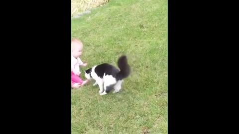 Funny cat playing with children