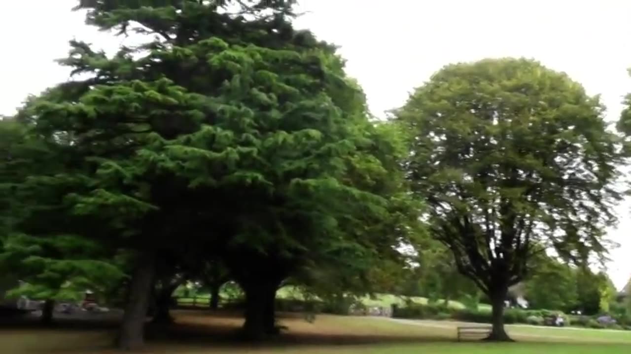 TheNorman53 - St. Andrews Park, Bristol England | Panasonic HDC-SD20 Camcorder Video (2009)