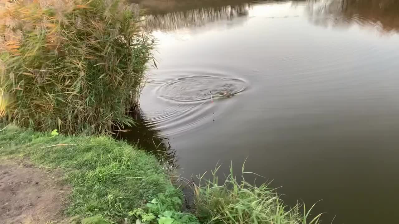 Fishing 🎣