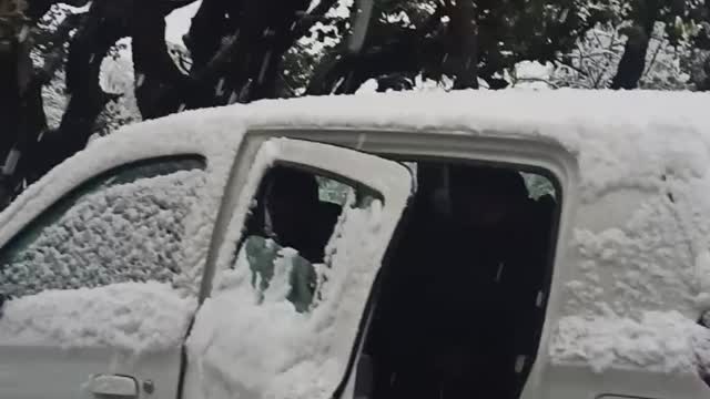 Snow fall in Kinnaur Himachal Pradesh