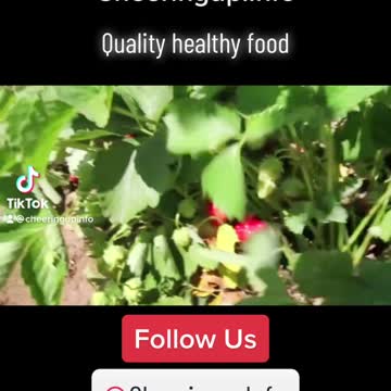 Healthy Recipes UK Food and Drink Magazine