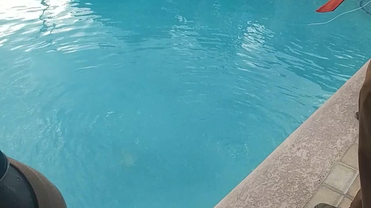 How to test a Submersible robot in the pool at the Caribbean Maritime Institute