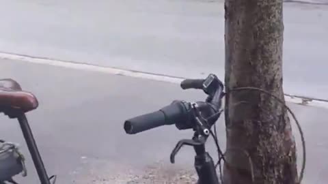 This Is NOT Pakistan, It Is Paris, France