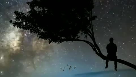 Beautiful Night 🌌 Nature Status💓| Beautiful Nature With Romantic Song | Nature Lover Status🥰