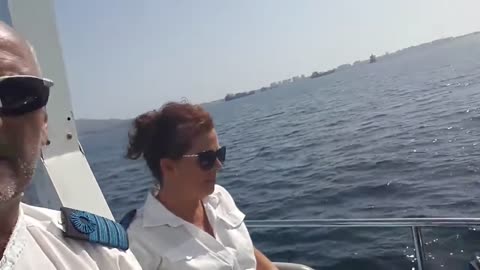 Dolphins in Gibraltar