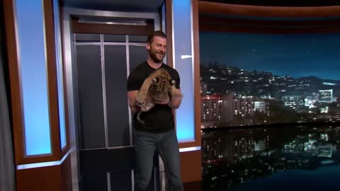 Wild Animals with Dave Salmoni