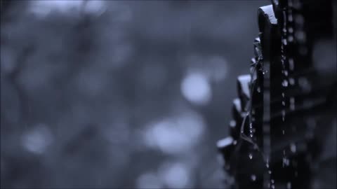 BEST DRIPPING RAIN SOUNDS TO FALL ASLEEP TO!