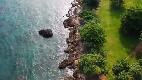 Relaxing Music | Sleeping, Meditation, Stress Relief | [5952] ⭐️