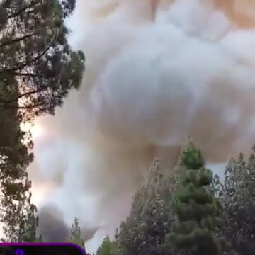 Wildfire in Tenerife national park