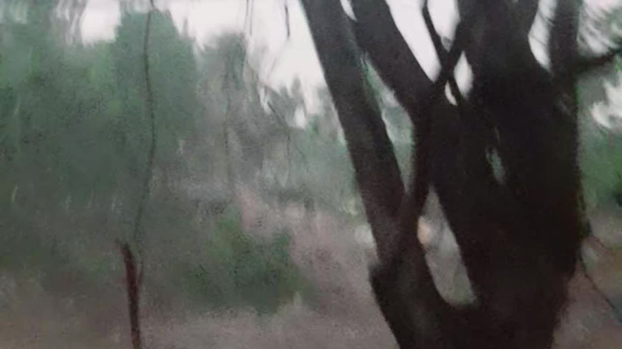 The dark mood in bd