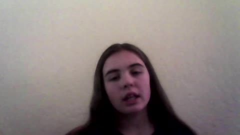 Three Bars Race Horse