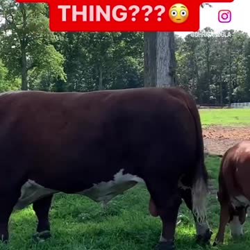 SHOULD WE START A FARM?