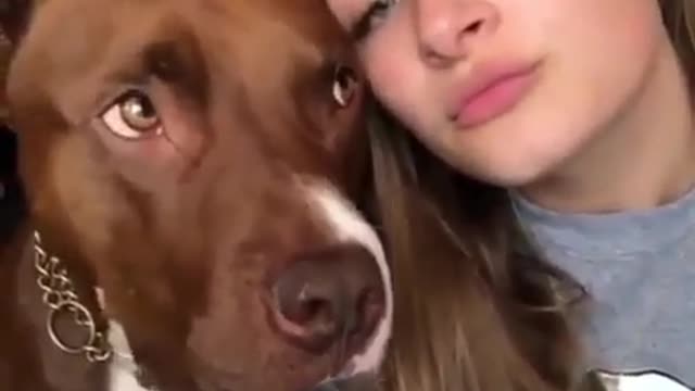 Funny Video /I can’t stop Laughing with these dogs