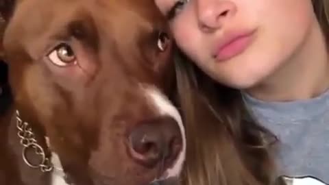 Funny Video /I can’t stop Laughing with these dogs