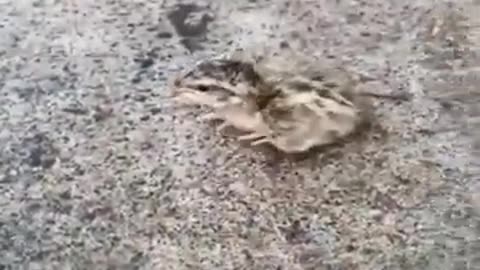 I chose my own path #shorts #viral #shortsvideo #video