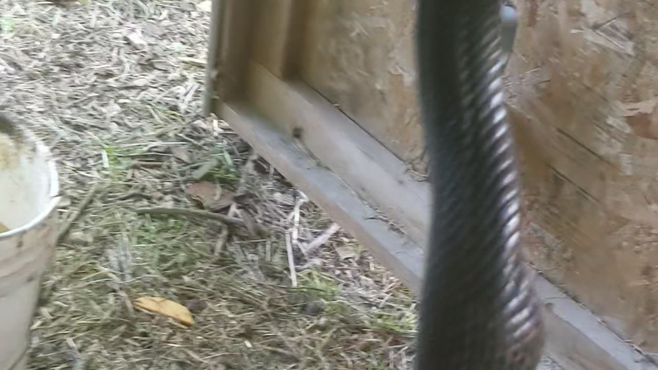Capturing the Second Culprit