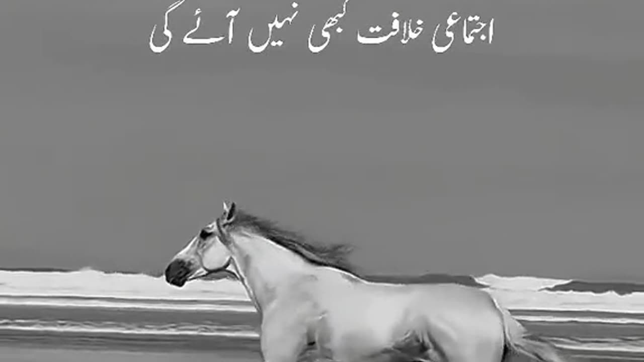 How to get Islamic heroes of my favorites 😔