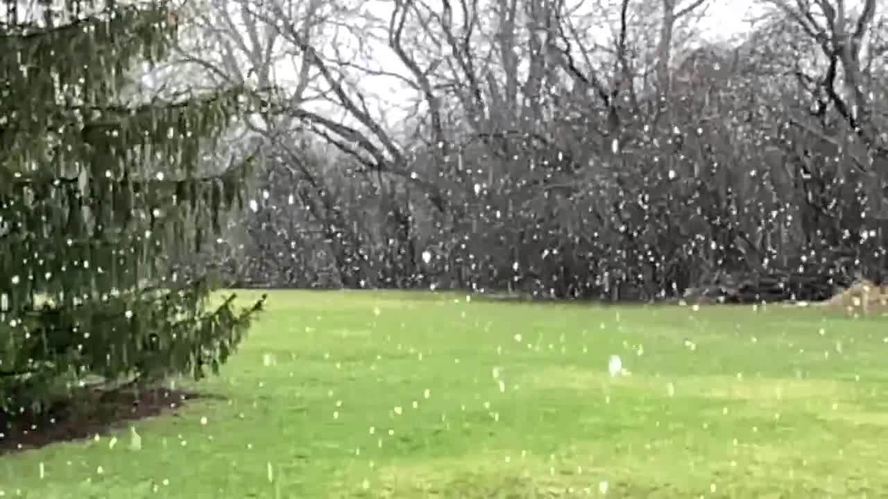 Snow to slo-mo