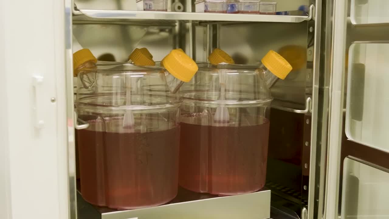 First ever clinical trial of lab-grown red blood cell transfusion