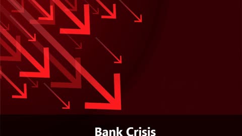 Understanding the Impact of Bank Crises On the Economy