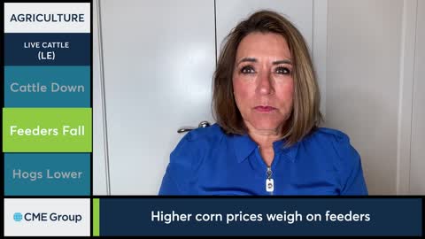 Livestock Market Commentary Virginia McGathey, 111122