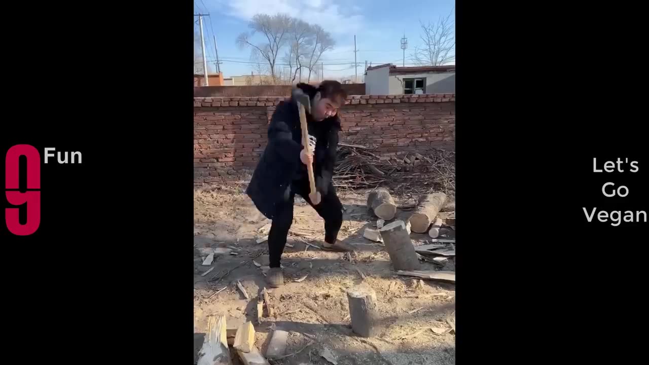 Best funny Video Compilation