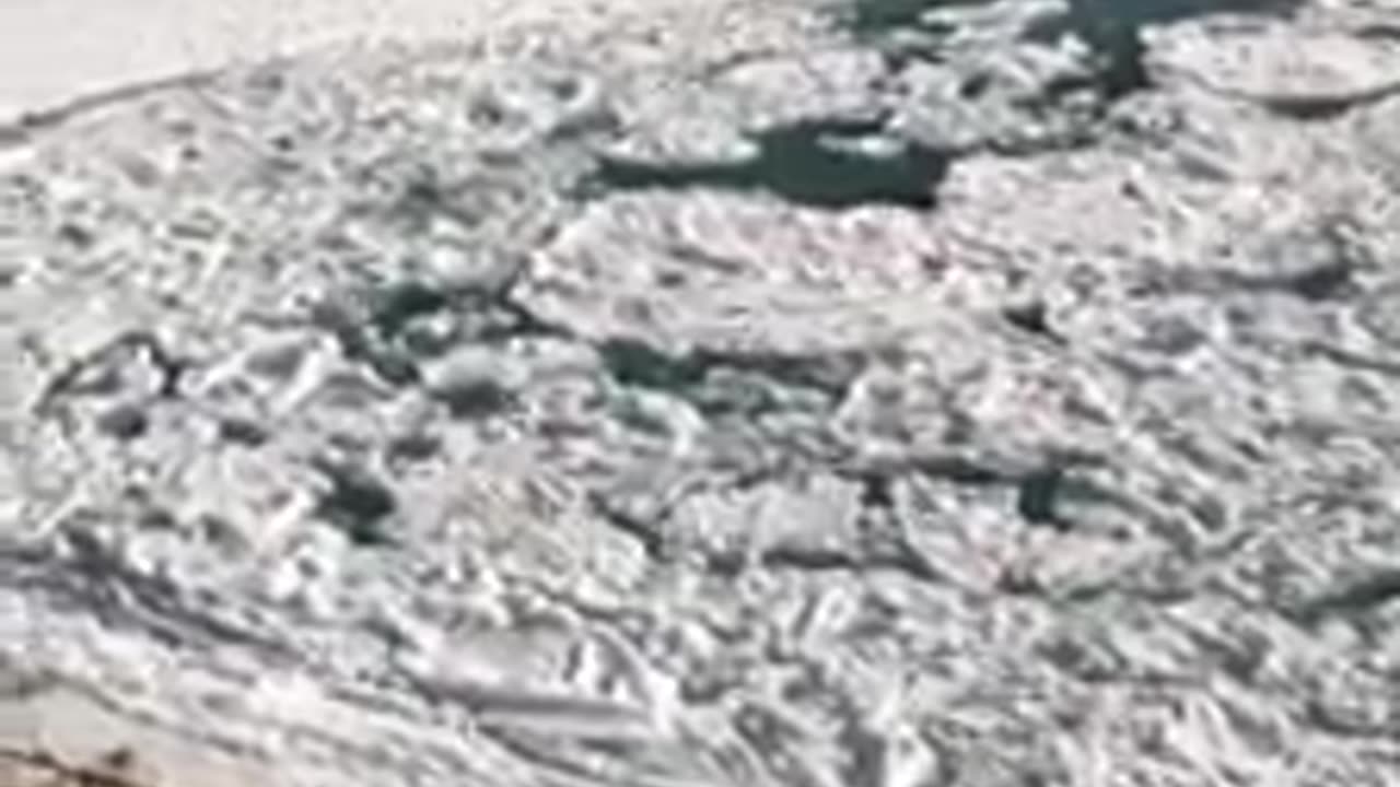 Video funny