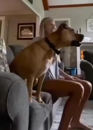 When Your Dog is A Football Fan