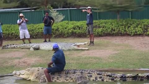 Must watch amazing guy communicates with crocodiles.