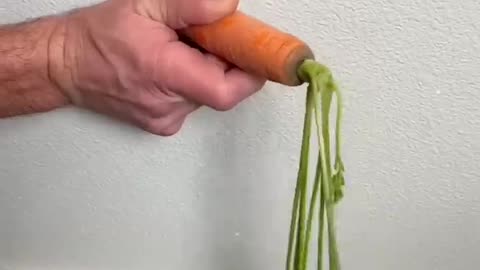 Why you should hide a carrot in your wall 🥕