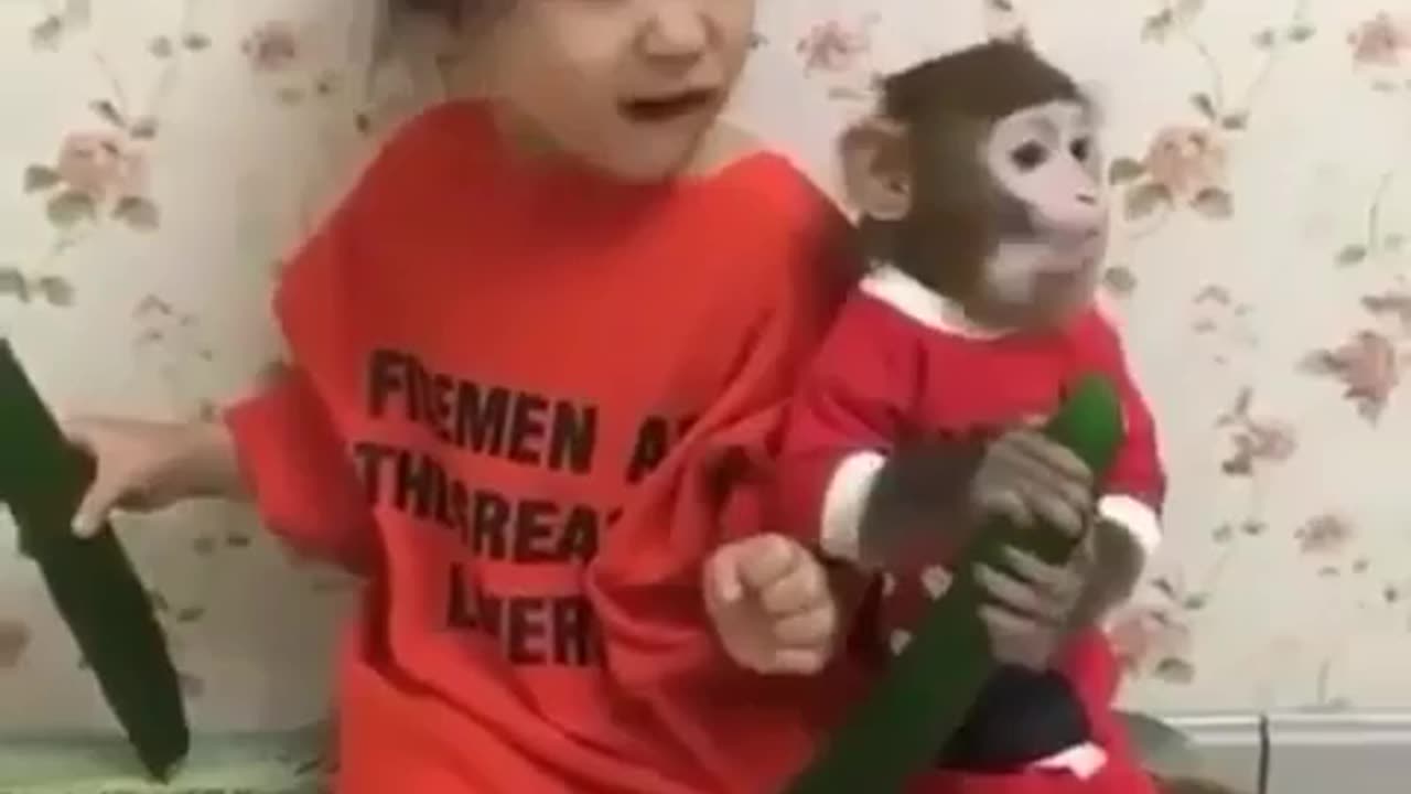 Cute little girl and monkey pet