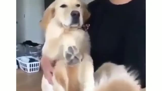 Baby hug