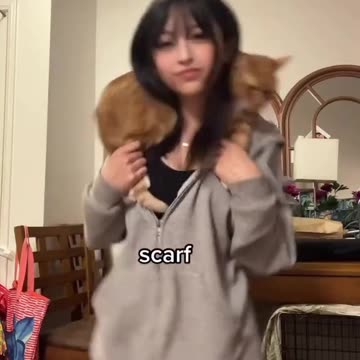My Cat 😺 Dancing with Me 🤩 Joy Funny Factory