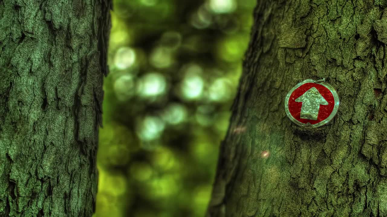 Beachfront B-Roll - Trail Marker HDR (Free to Use HD Stock Video Footage)