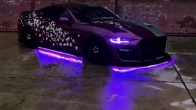 Gorgeous Mustang 2022 beast 🔥🔥🔥