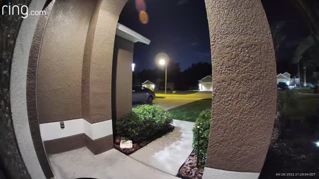 Couple Letting Dog Out Are Chased Inside by Black Bear