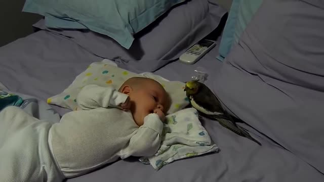 Cute baby and birds.