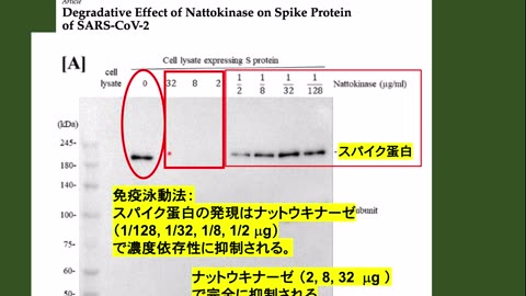 ワクチン後遺症にナットウキナーゼが有効かも？